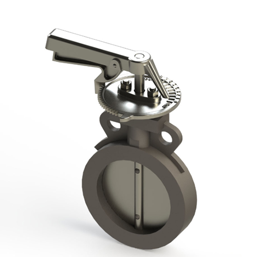 ���y�������T