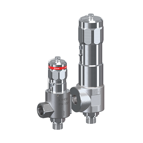 ��Goetze���P������y�������D���y�y�w493